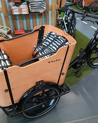 Cargobike Italiana mod. Curvy