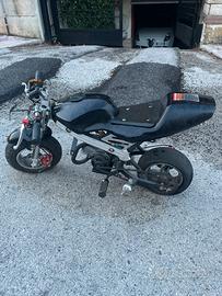 Minimoto cinese