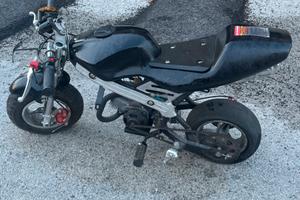 Minimoto cinese