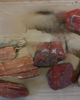 Pietre per decorazione acquario e terrari