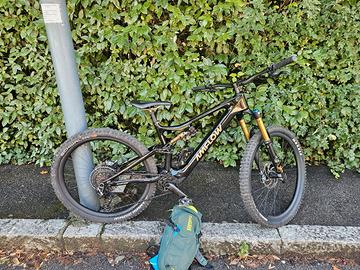 Amflow PL PRO CARBON tg. L 250 km