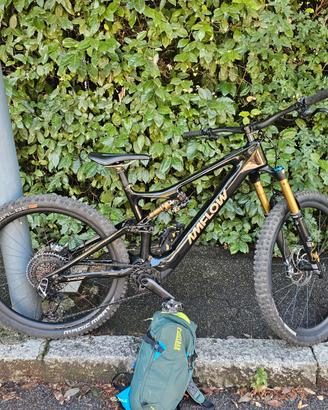 Amflow PL PRO CARBON tg. L 250 km