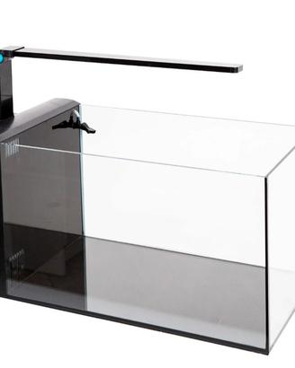 Acquario 
