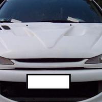Mascherina radiatore PEUGEOT 206 no logo