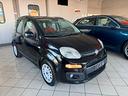 fiat-panda-1-2-gpl-gas-finanziabile
