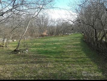 Terreno per sgambamento cani