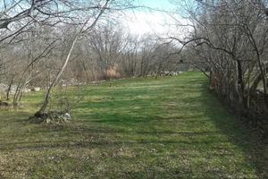 Terreno per sgambamento cani