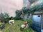 Immagine 10