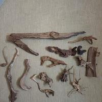 legni acquario terrario 