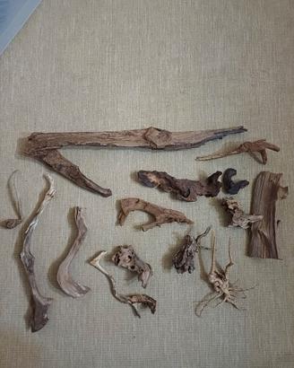 legni acquario terrario 