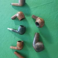 Lotto di 7 pipe in radica senza bocchino