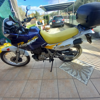 Honda dominator 650 storica