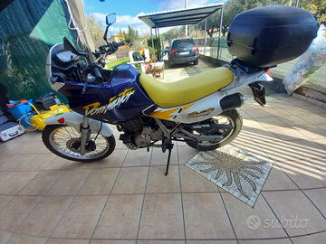 Honda dominator 650 storica