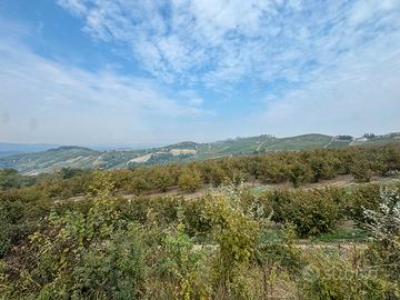 Terreno Agricolo 15000mq