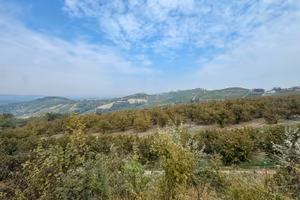 Terreno Agricolo 15000mq