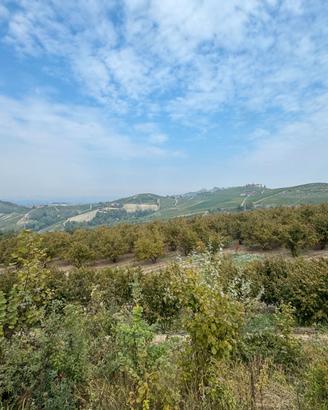 Terreno Agricolo 15000mq