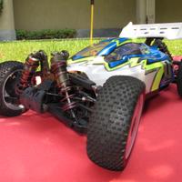 ZD racing buggy  scala 1/8