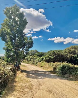 TELTI 3 ETTARI CON PROGETTO APPROVATO, ULIVETO E