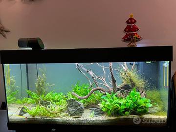 Acquario juwel rio 180 lt con mobile 3 ante
