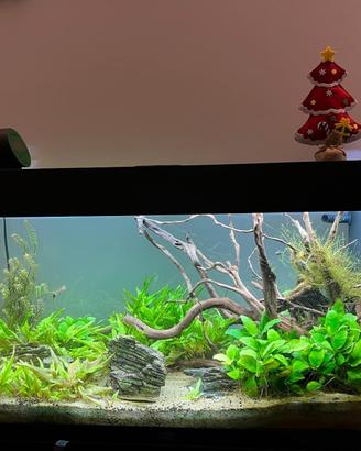 Acquario juwel rio 180 lt con mobile 3 ante