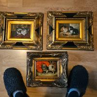 3 quadri gattini olio su tela cornice stupenda