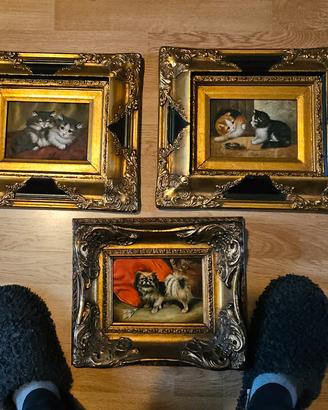 3 quadri gattini olio su tela cornice stupenda