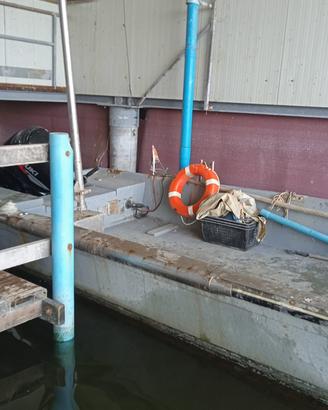 Barca professionale con motore da 115 CV