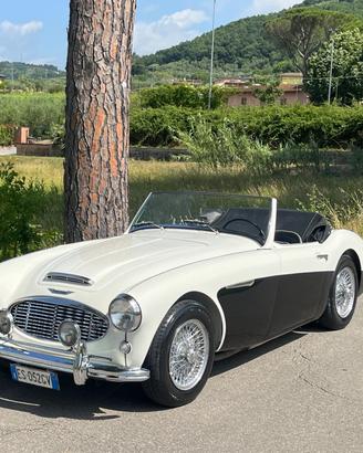 Austin Healey 100/6 BN4 2700 ASI