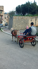 Pony per bambini