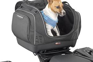 Top bag Givi specifica per il trasporto di animali
