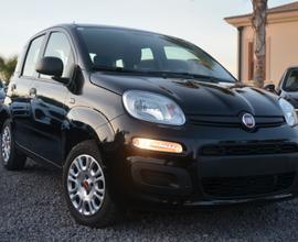 Fiat panda 1.2 benz. Anno 2021