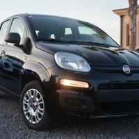 Fiat panda 1.2 benz. Anno 2021