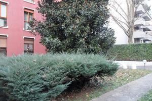 Appartamento zona San Gerardo