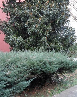 Appartamento zona San Gerardo