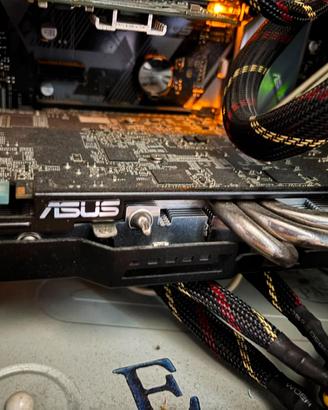 Scheda video e hard disk