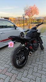 yamaha mt-07 pure 2024 a2