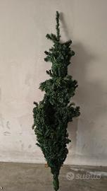 Albero di Natale 175 cm