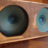 SABA Greencone Permadyn fullrange diffusori