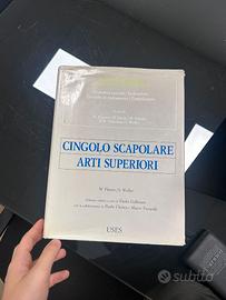 cingolo scapolare arti superiori