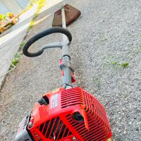 Frustino taglia erba