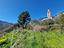 Immagine 11