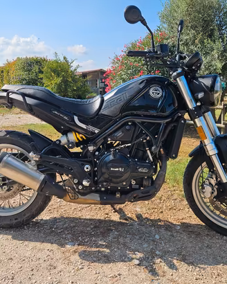 benelli leoncino 500 trial