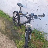bicicletta 