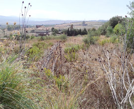 Terreno agricolo collina Primosole