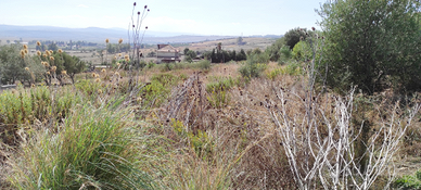 Terreno agricolo collina Primosole