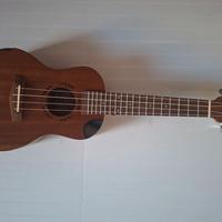 Ukulele Martin Smith Concert