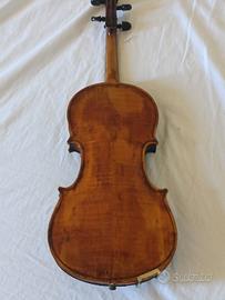 violino