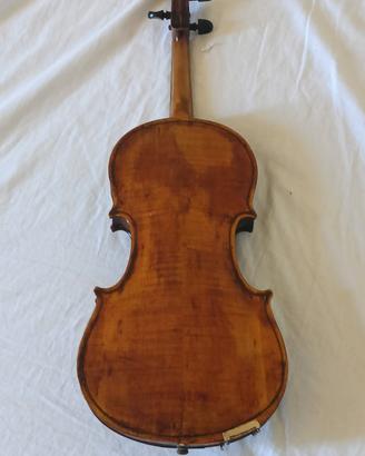 violino