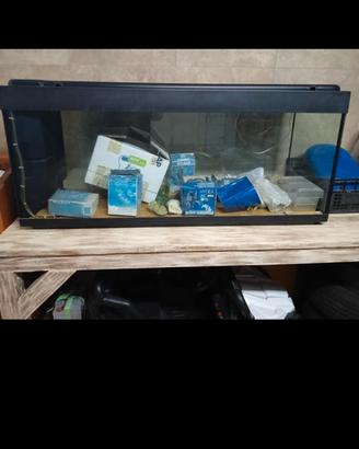 acquario