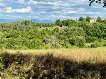 TER. AGRICOLO A ORTE